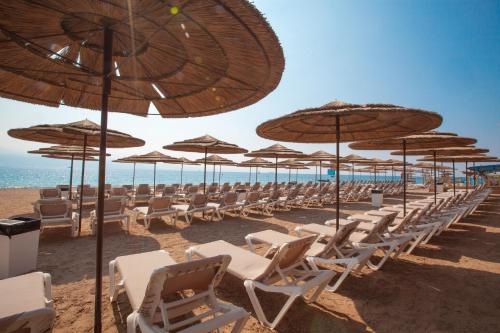 Imagen general del U Coral Beach Club Eilat Ultra All Inclusive. Foto 2