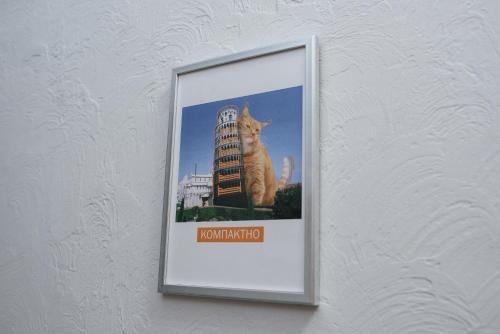 Imagen general del UNEED First. Foto 1