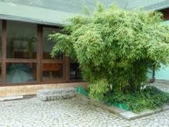 Imagen general del Ubytování Mlýn. Foto 3