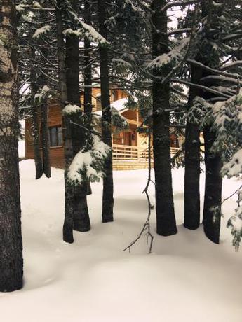 Imagen general del Uludag Orman Koskleri. Foto 4