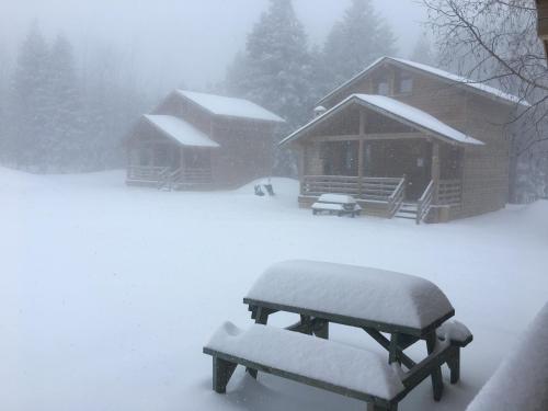 Imagen general del Uludag Orman Koskleri. Foto 6