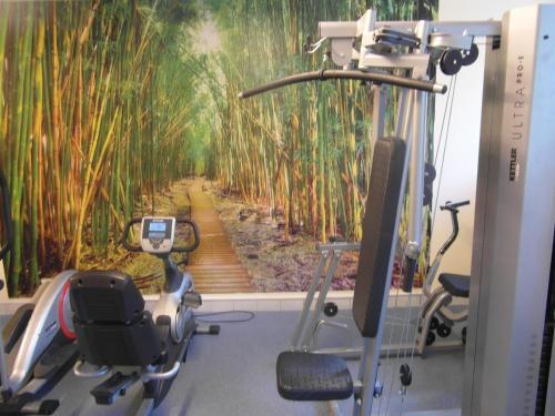 Imagen general del Ustrovita. Foto 11