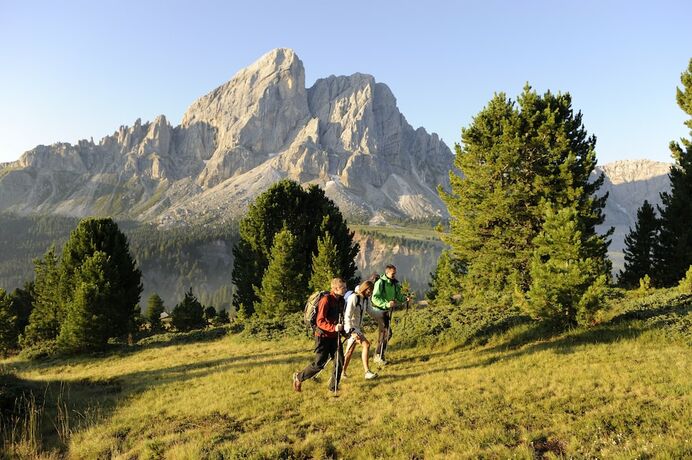 Imagen general del Ütia de Börz. Foto 4