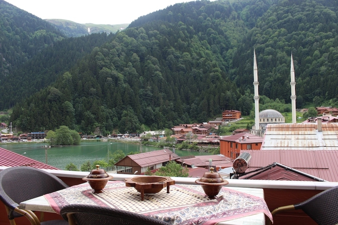 Imagen de la habitación del Uzungol Adiloglu Apart. Foto 6