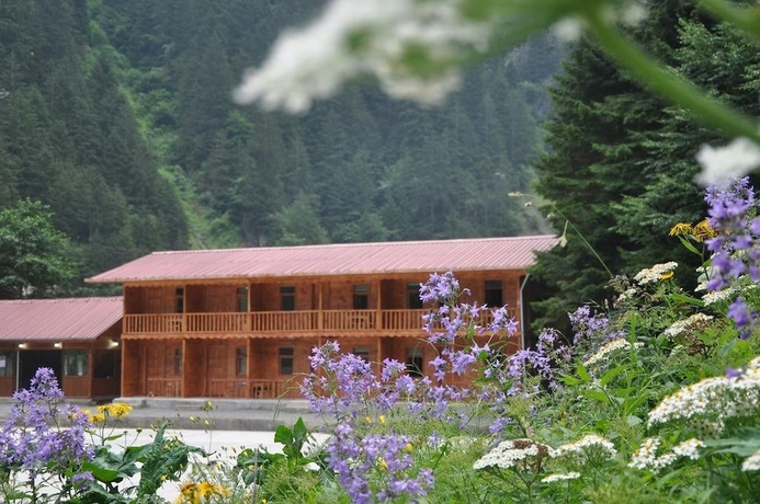 Imagen general del Uzungol Bungalow House. Foto 1