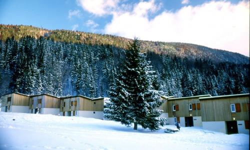 Imagen general del VVF Les Monts Jura. Foto 4