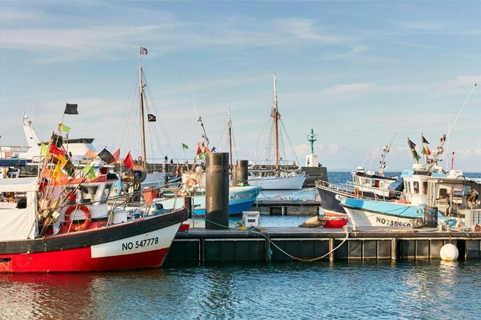 Imagen general del VVF Les Sableaux à Noirmoutier. Foto 16