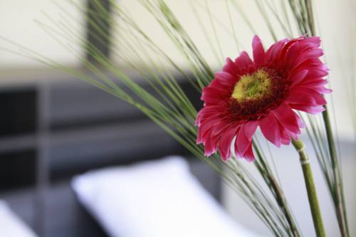 Imagen de la habitación del Vakantiedomein Hoge Duin. Foto 8