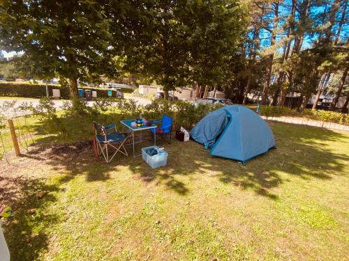 Imagen general del Vakantiepark Breebos: Empty Lots for tents and mobile homes. Foto 3