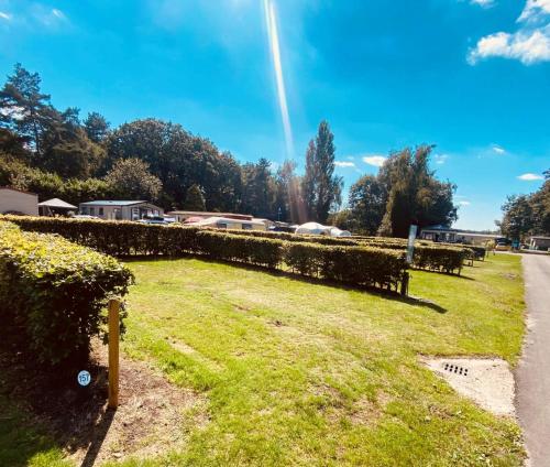 Imagen de la habitación del Vakantiepark Breebos: Empty Lots for tents and mobile homes. Foto 19