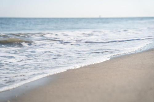 Imagen general del Vakantiepark Klein Vaarwater. Foto 3