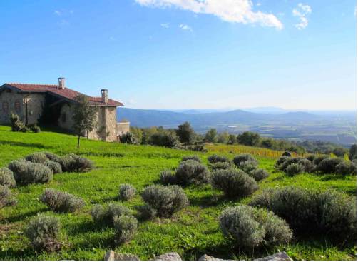 Imagen de la habitación del Valdonica Winery & Vineyard Residence. Foto 12