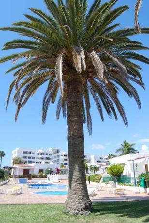 Imagen general del Valles I. Foto 6