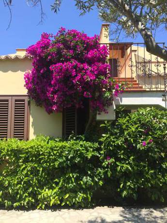 Imagen de la habitación del Vascellero Club Resort. Foto 6