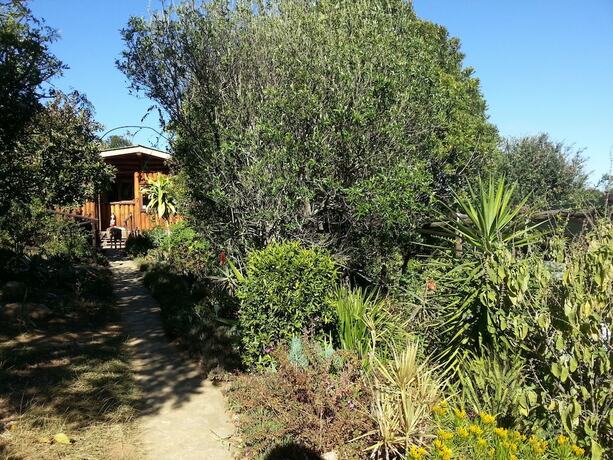 Imagen general del Veki's Village. Foto 5