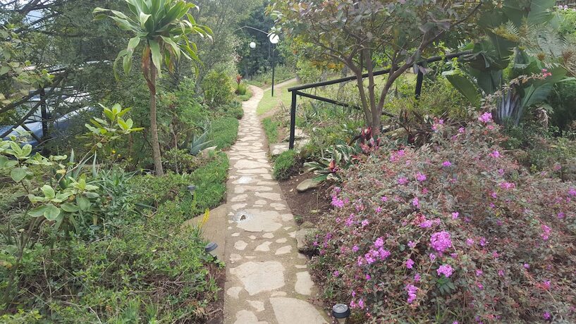 Imagen general del Veki's Village. Foto 7