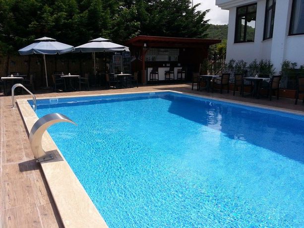 Imagen de la piscina del Velena Hotel. Foto 14