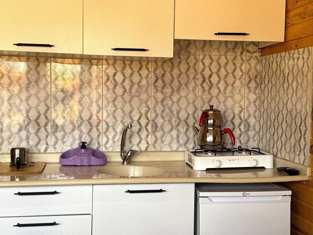 Imagen de la habitación del Ven&uuml;s Gold Bungalov. Foto 3