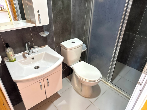 Imagen de la habitación del Ven&uuml;s Gold Bungalov. Foto 15