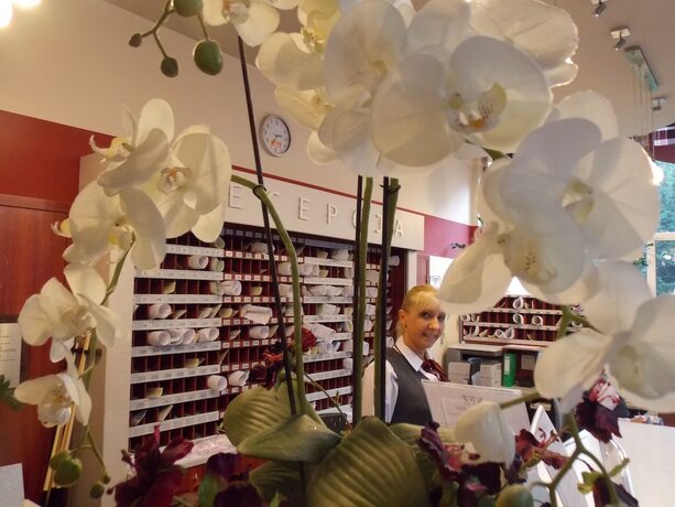 Imagen general del Verano. Foto 6