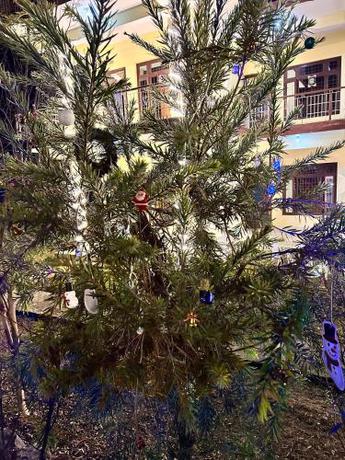 Imagen general del Vestta Nomad Bir. Foto 10