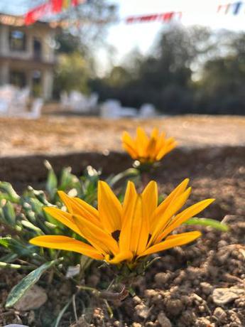 Imagen general del Vestta Nomad Bir. Foto 12