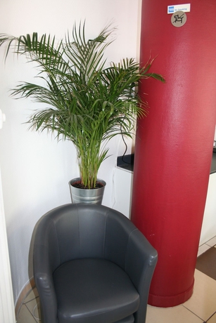 Imagen de los interiores del Vieille Tour Centre Rouen. Foto 17