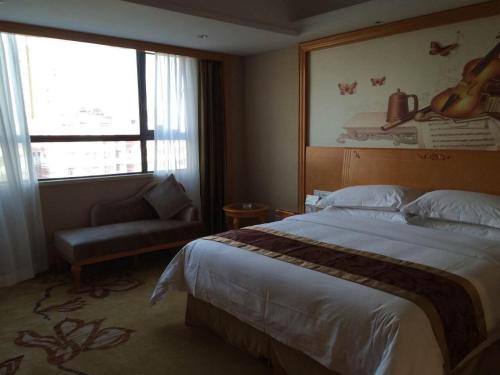 Imagen general del Vienna International Hotel (Shenzhen Buji Dafen Metro Station). Foto 1