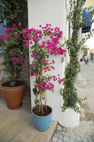 Imagen de los exteriores del Viento Hotel Alacati - Special Class. Foto 13