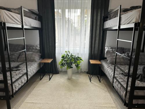 Imagen de la habitación del Vila Ana Boutique Hotel. Foto 16