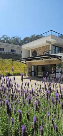 Imagen general del Vila Europeia Hotel e Residencial. Foto 16