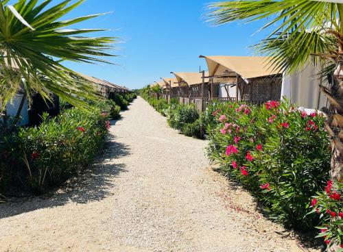 Imagen general del Villa Alwin Beach Resort. Foto 7