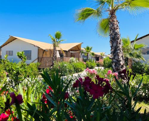 Imagen general del Villa Alwin Beach Resort. Foto 10