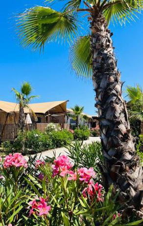 Imagen de la habitación del Villa Alwin Beach Resort. Foto 20