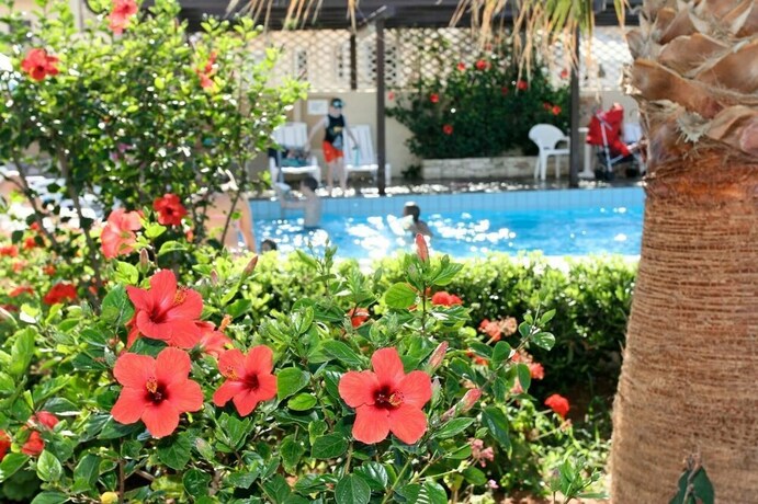Imagen de la piscina del Villa Andreas. Foto 35