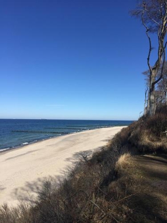 Imagen general del Villa Aranka. Foto 3