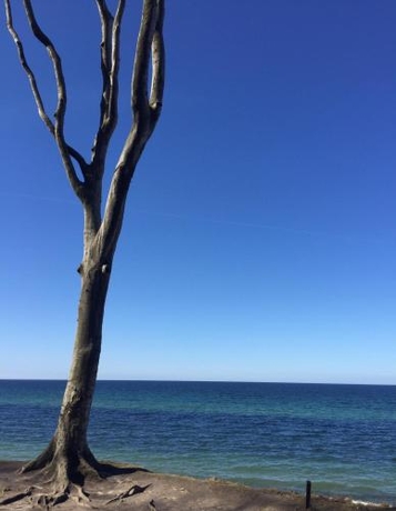 Imagen general del Villa Aranka. Foto 4