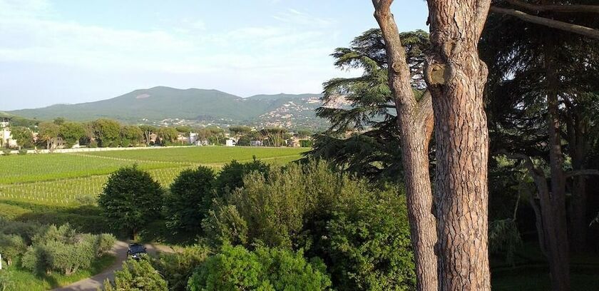 Imagen general del Villa Cavalletti Camere. Foto 12