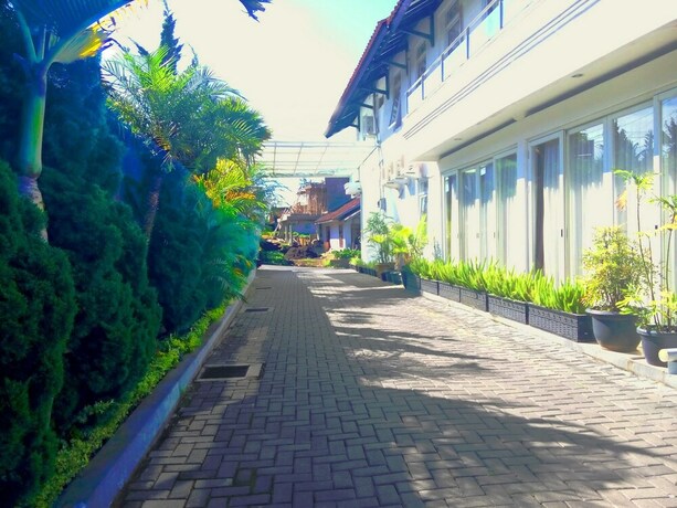 Imagen general del Villa Chocolate. Foto 4