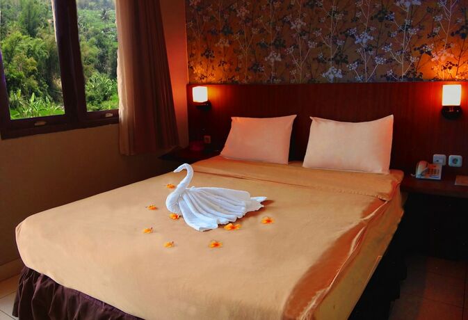 Imagen general del Villa Chocolate. Foto 19