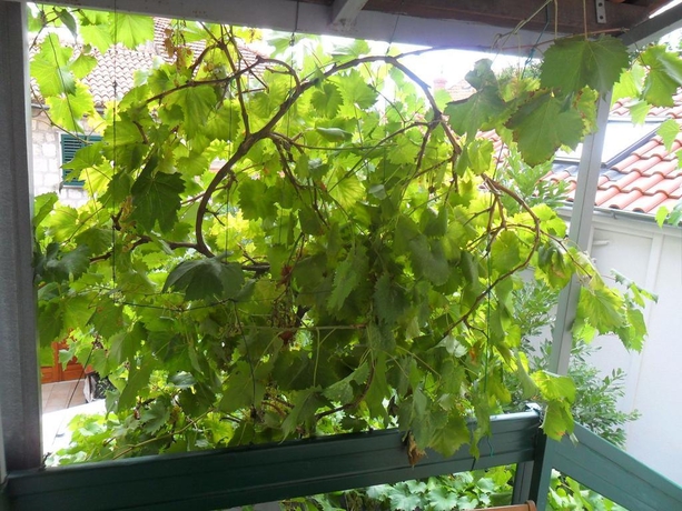 Imagen general del Villa Dube. Foto 4