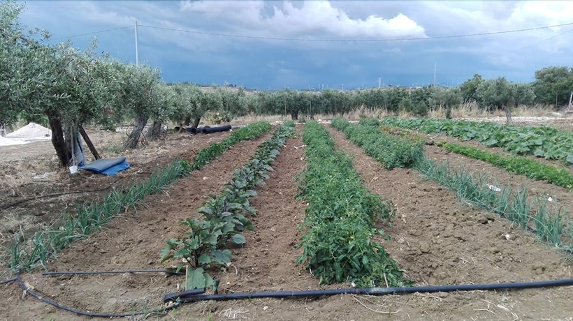 Imagen de los exteriores del Villa Giadel. Foto 13