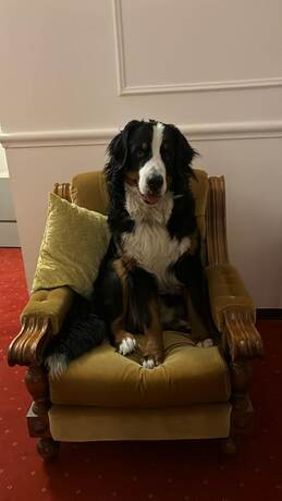 Imagen general del Villa Grancassa. Foto 5