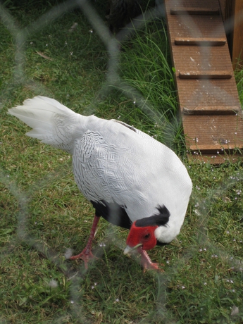 Imagen general del Villa Guarnaschelli. Foto 4