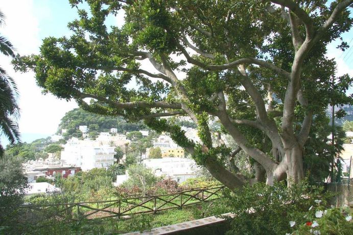 Imagen de la habitación del Villa Helios Capri. Foto 7