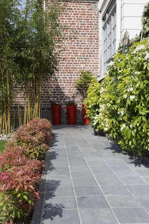 Imagen de los exteriores del Villa Hôtel Gounod. Foto 11