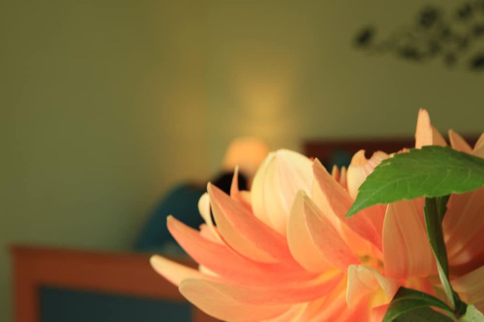 Imagen de la habitación del Villa Irene. Foto 3