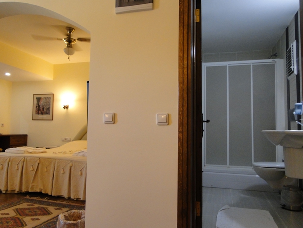 Imagen de la habitación del Villa Konak Hotel. Foto 4