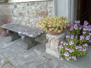 Imagen general del Villa La Montagnola. Foto 10