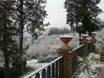 Imagen general del Villa La Montagnola. Foto 12